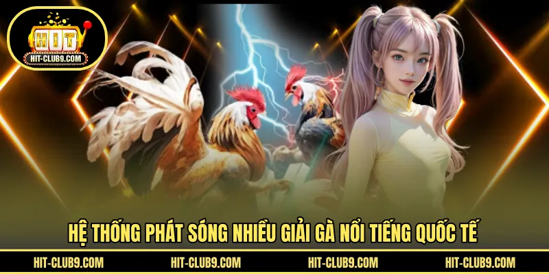 Hệ thống phát sóng nhiều giải gà nổi tiếng quốc tế
