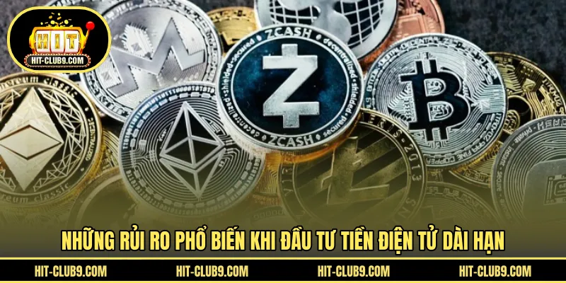 Những rủi ro phổ biến khi đầu tư tiền điện tử dài hạn